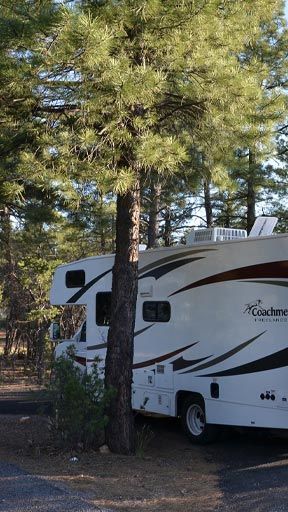 Outdoor camping in a camper